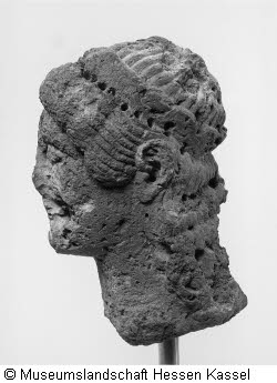Weiblicher Kopf mit Diadem Bild4