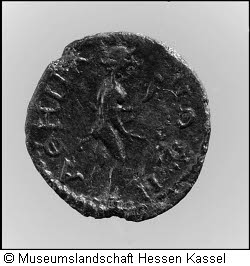 Apollon Typ Kassel Bild11
