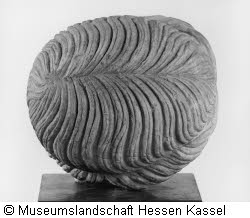 Ephebe Typ Hirth-Kassel Bild5