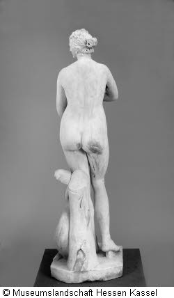 Venus Typus Medici Bild2